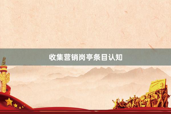 收集营销岗亭条目认知